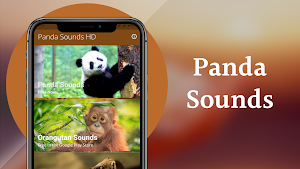 Panda Sounds Screenshot 1