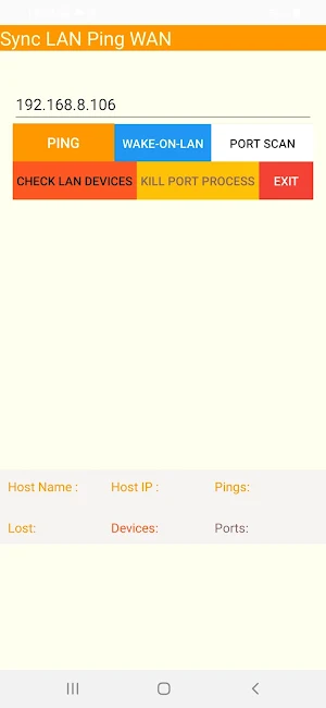 Sync LAN Ping WAN Screenshot 0