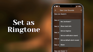 Sea lion sounds Screenshot 2