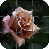 Rose Jigsaw Puzzle