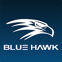 BlueHawk