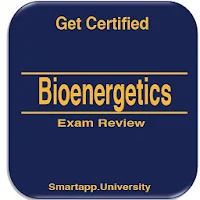 Bioenergetics : Exam Review No
