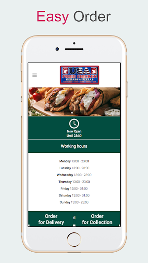 USA Fried Chicken Screenshot 0
