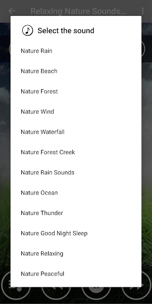 Nature Deep Sleep Music Screenshot 1