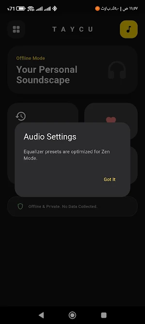 Taycu Music Screenshot 3