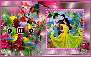 Bird photo video maker song Screenshot 1