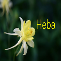 صور اسم هبه-خلفيات و رمزيات