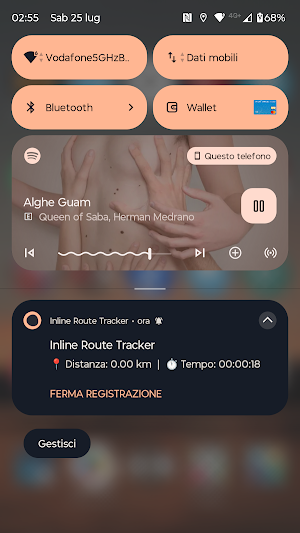 Inline Route Tracker Screenshot 2