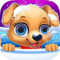 Labrador Puppy Pet Salon Care