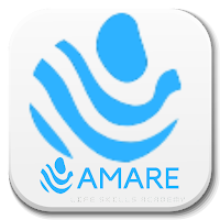 Amare Academy
