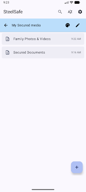 SteelSafe Screenshot 3