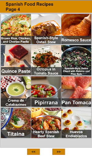 Spanish Food : Offline Recipes Screenshot 3