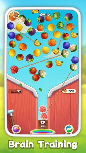 Sky Fruits Screenshot 2