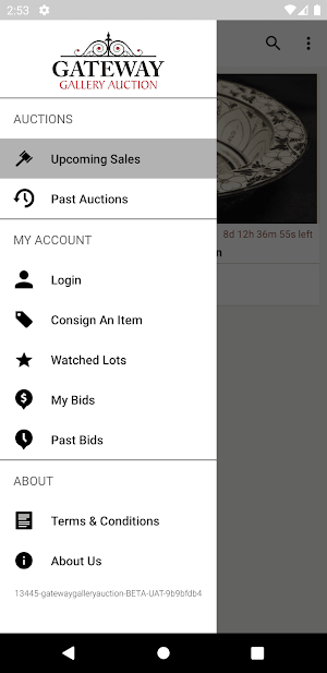 Gateway Gallery Auction Screenshot 3