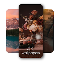 Elegant 4K Wallpapers
