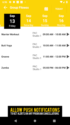 WarriorRec Screenshot 2