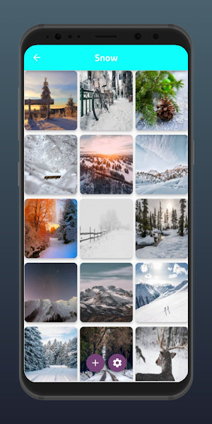 HD Wallpaper Gallery Screenshot 0