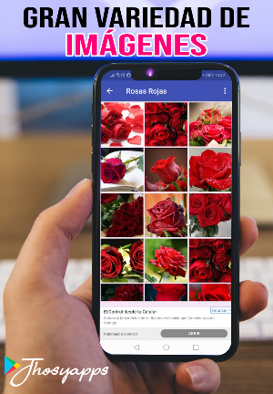 Rosas Hermosas para ti con Amor Screenshot 0