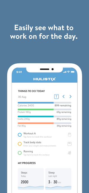 Hulistix Screenshot 3