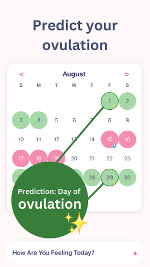 KAVODA Flow Screenshot 1