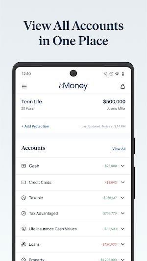 eMoney Client Portal Screenshot 2