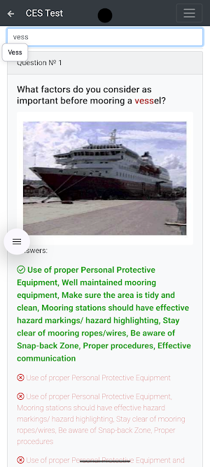 RORO passenger CHaS Operat CES Screenshot 2