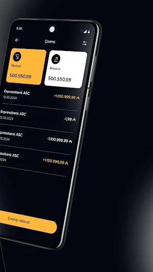Express Business Screenshot 1