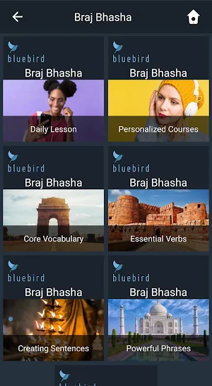 Learn Braj Bhasha. Speak Braj Bhasha. Screenshot 0