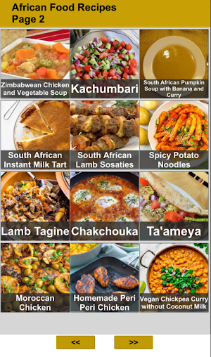 African Food Recipes Screenshot 1