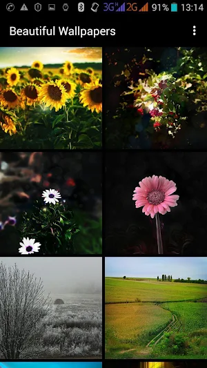 Beautiful Wallpapers Screenshot 1