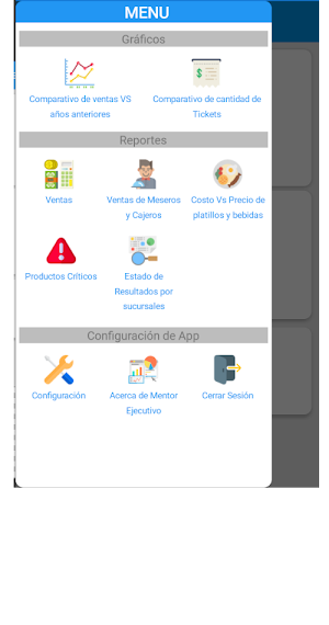 Mentor Ejecutivo Screenshot 3