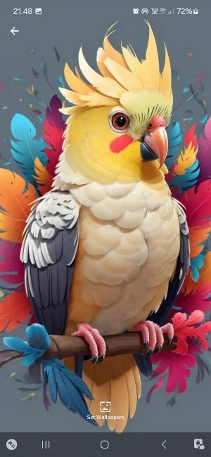 Parrot 2 Rainbow Wallpaper Screenshot 1
