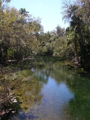 Florida Wallpaper HD Screenshot 2