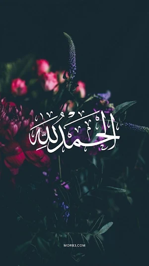 خلفيات اسلامية بدون انترنت Screenshot 0