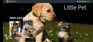 Little Pet Screenshot 2