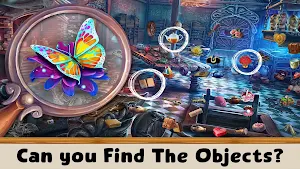 Hidden Objects Game Hotal Taj Screenshot 0