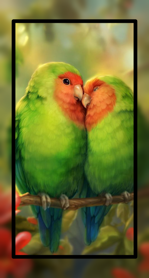 Animal and Bird Wallpaper HD Screenshot 2