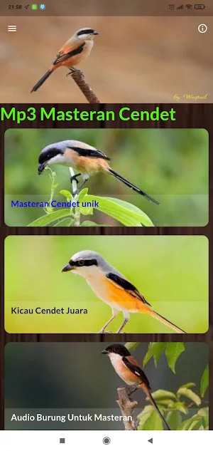 Cendet Madura Gacor Ngerol Screenshot 1
