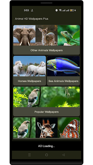Animal HD Wallpapers Plus Screenshot 1