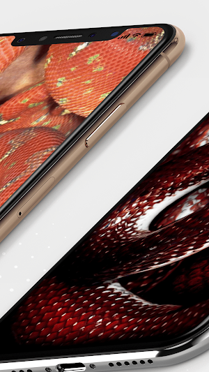 1000+ Snake Wallpaper Live Screenshot 3