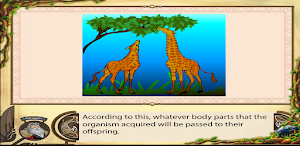 Theories of Evolution Screenshot 3