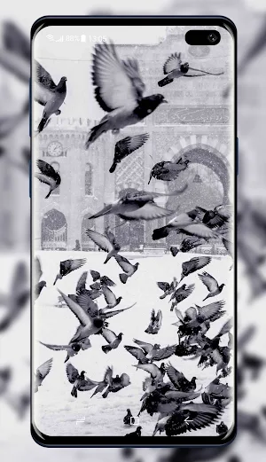 Black and White Wallpaper Screenshot 1
