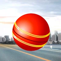 Casual Ball Runner