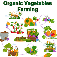 Organic Vegetables Farming