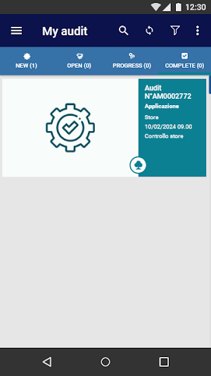 Audit Manager IBC Srl Screenshot 2