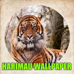 Tiger Live Wallpaper HD 2023 Screenshot 1