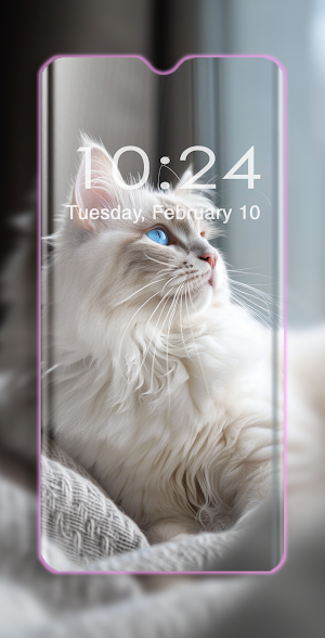 Cute Cats Wallpaper Screenshot 2