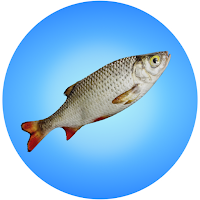 Vertebpedia