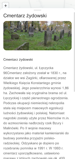 ETNO re:WITALIZACJE Łowicz Screenshot 1