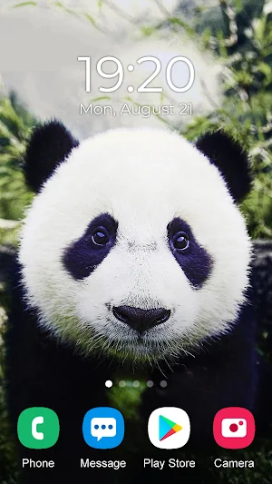 Panda Wallpaper 2023 Screenshot 1